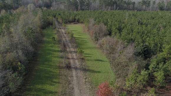 205 Acres of Land for Sale in Griffin, Georgia