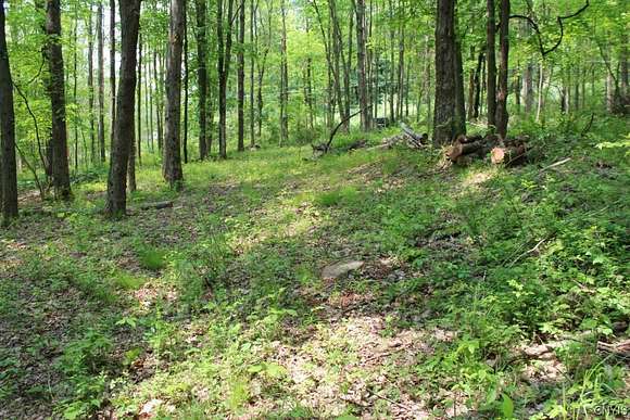 18 Acres of Recreational Land for Sale in Conklin, New York