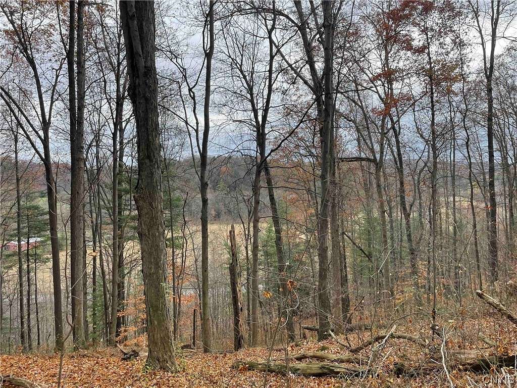 16 Acres of Recreational Land for Sale in Portage Town, New York