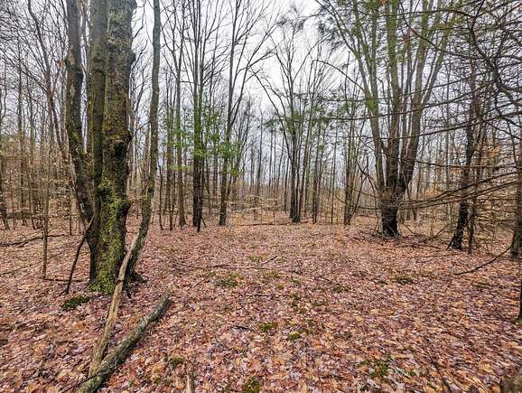 20 Acres of Recreational Land for Sale in Hornby, New York