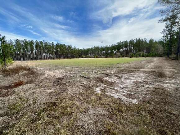 355 Acres of Recreational Land & Farm for Sale in Excel, Alabama