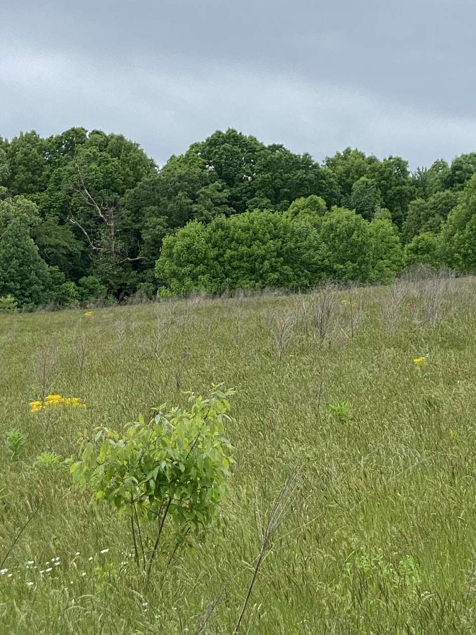 12.29 Acres of Land for Sale in Kings Mountain, Kentucky