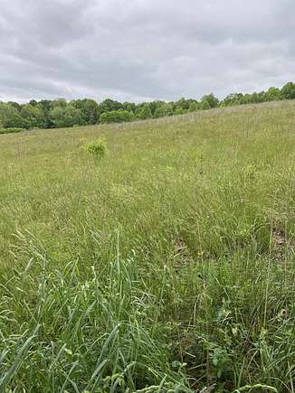 12.3 Acres of Land for Sale in Kings Mountain, Kentucky