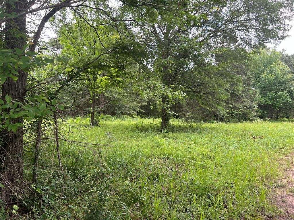 32.247 Acres of Recreational Land for Sale in Athens, Texas