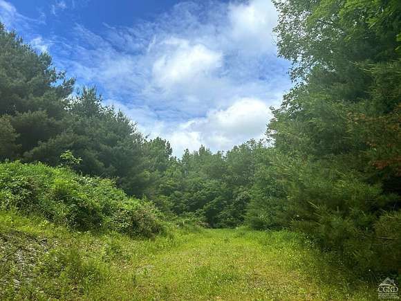 60.13 Acres of Land for Sale in Canaan, New York