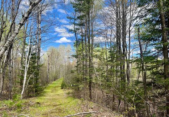 10 Acres of Recreational Land for Sale in Phillips, Wisconsin