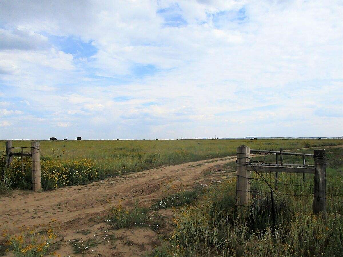 160 Acres of Land for Sale in Ramah, New Mexico