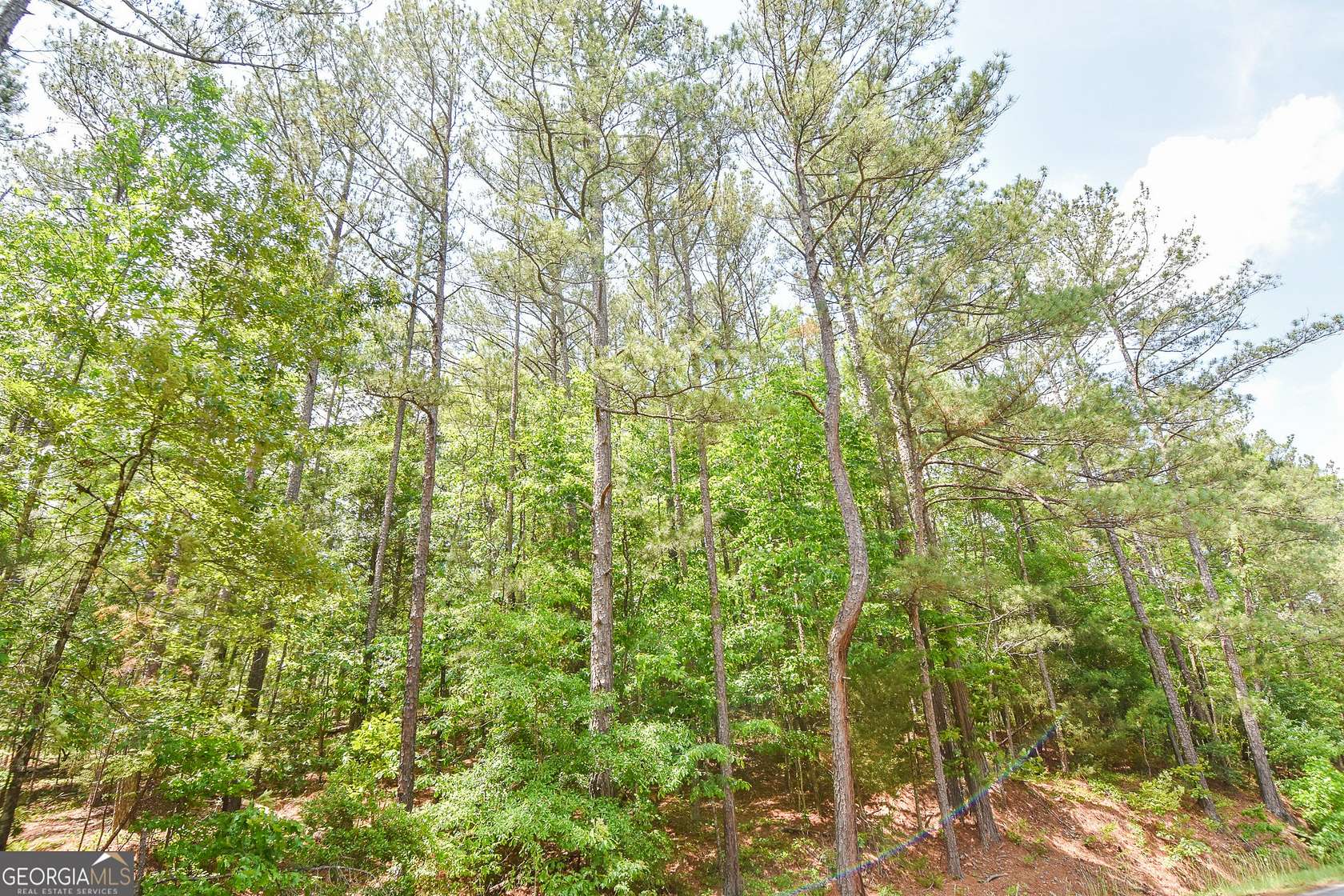 2.6 Acres of Residential Land for Sale in Thomaston, Georgia