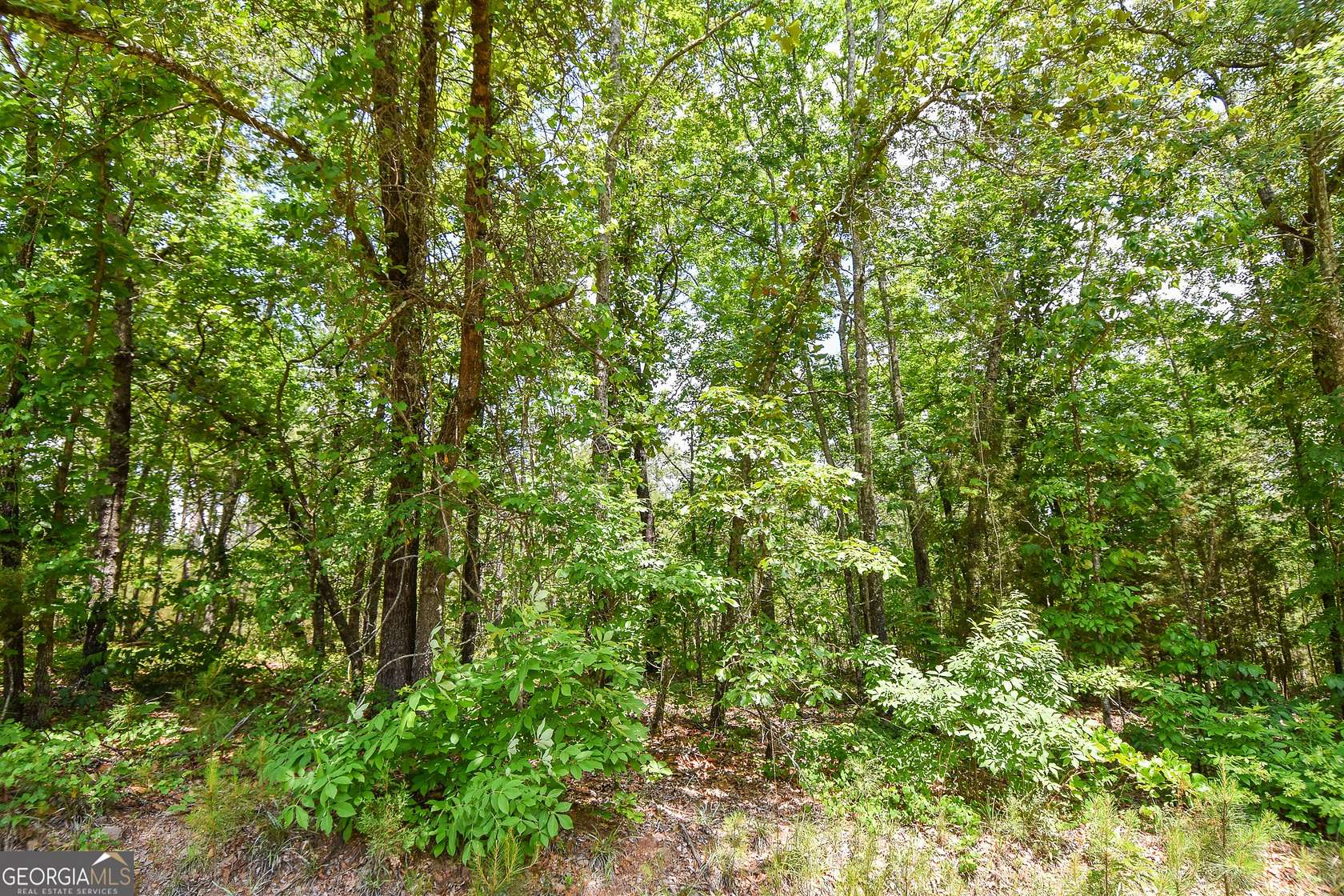 6.4 Acres of Residential Land for Sale in Thomaston, Georgia