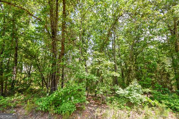 6.37 Acres of Land for Sale in Thomaston, Georgia