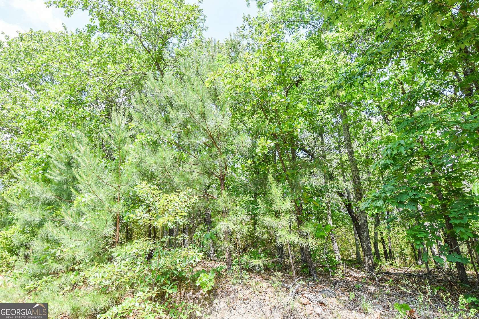 5 Acres of Residential Land for Sale in Thomaston, Georgia