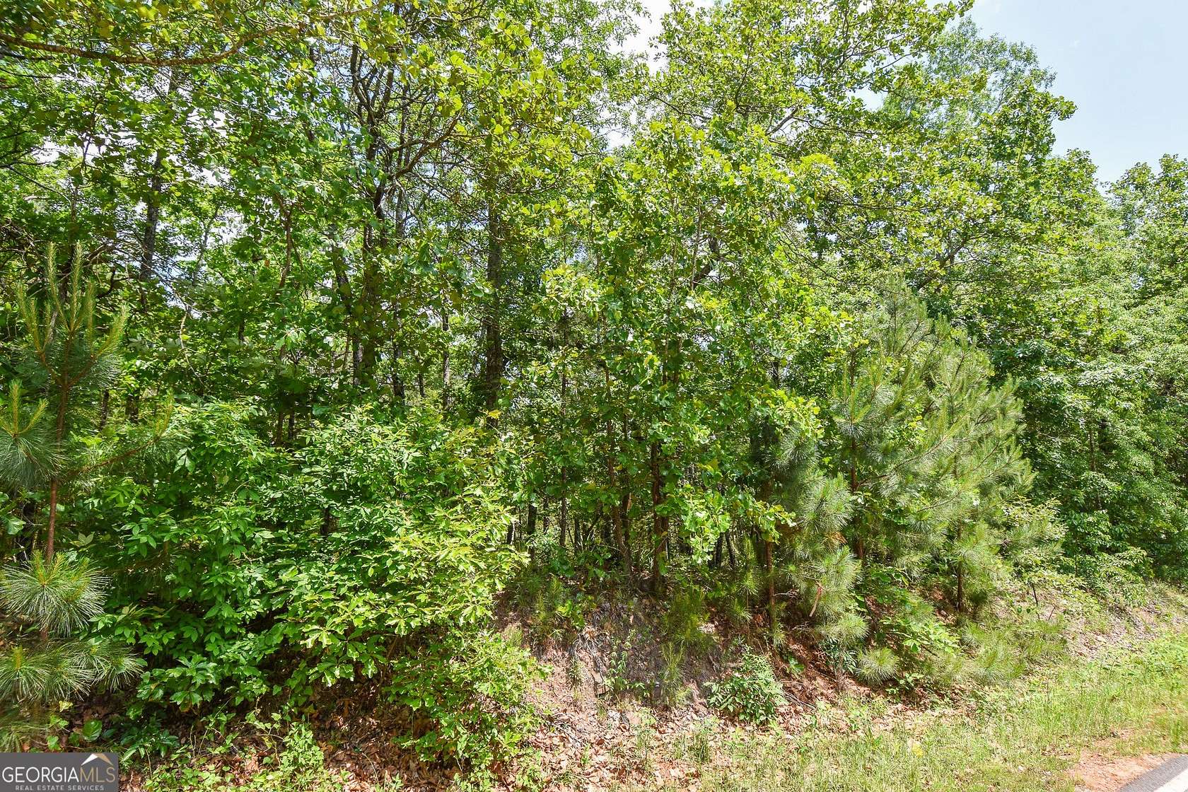 6.7 Acres of Residential Land for Sale in Thomaston, Georgia