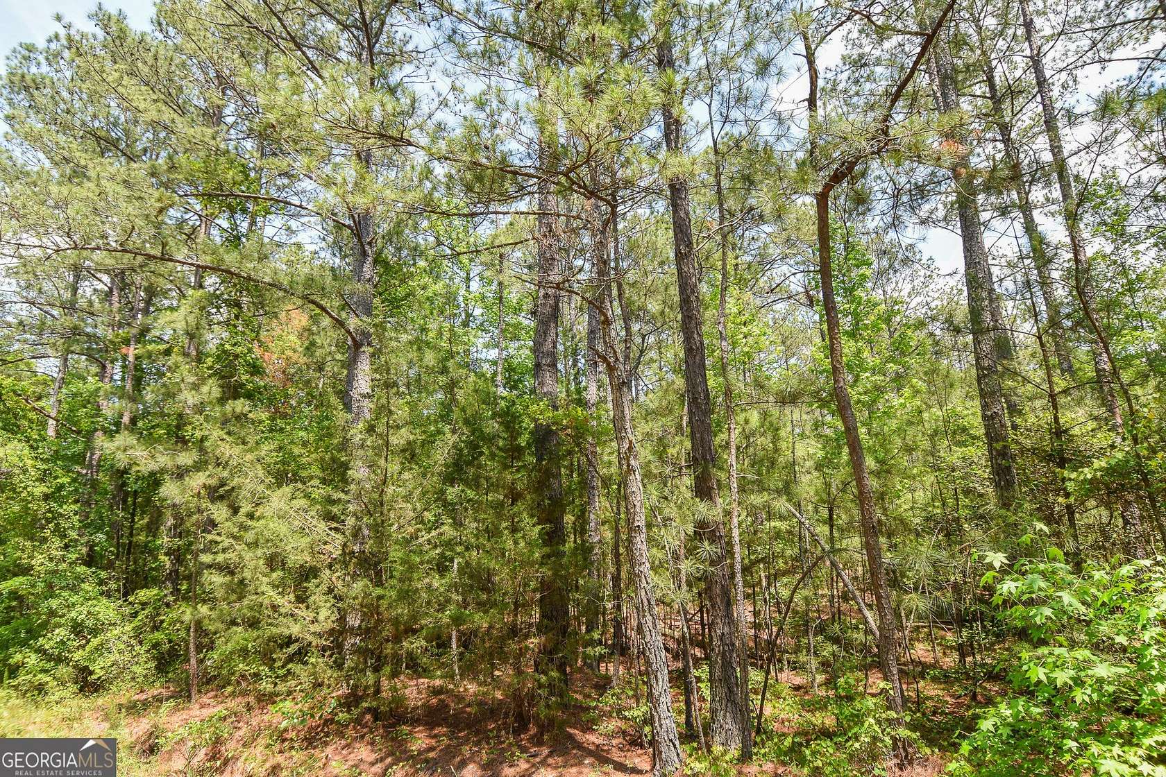 7.65 Acres of Land for Sale in Thomaston, Georgia