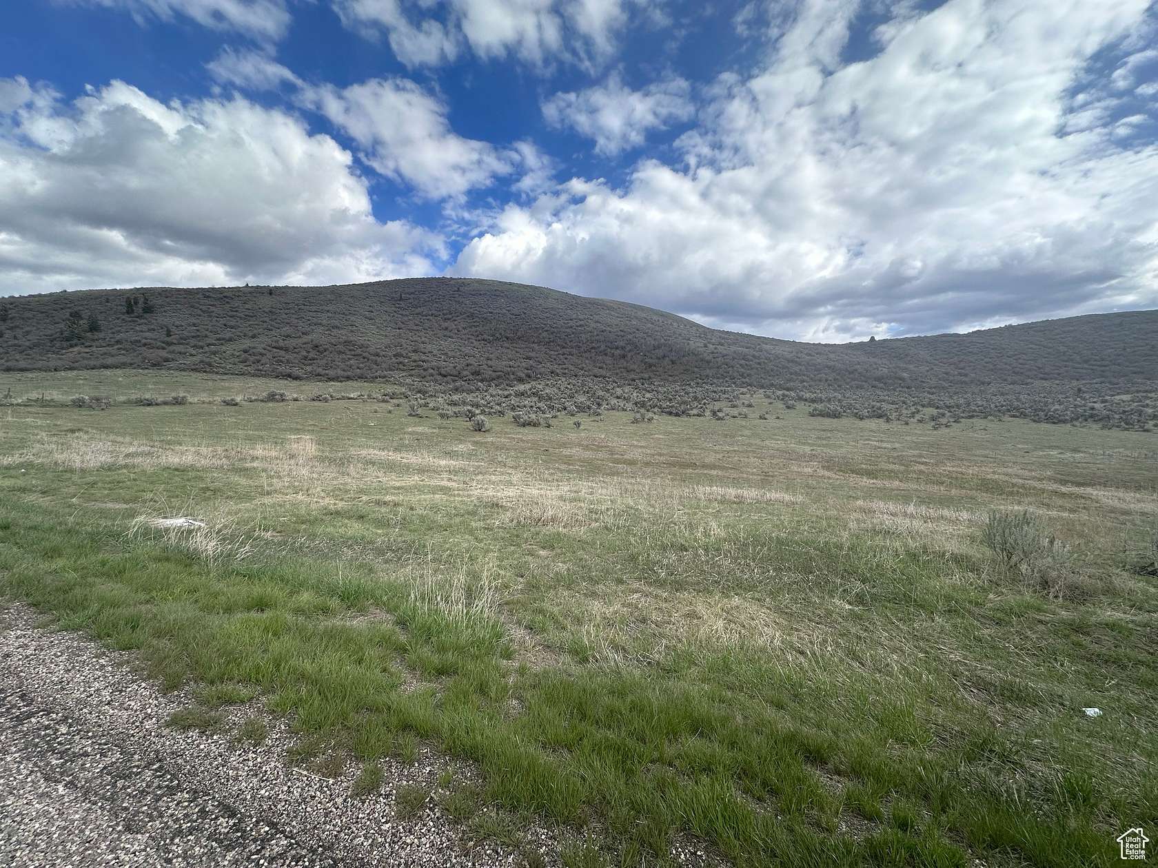 20 Acres of Land for Sale in Montpelier, Idaho