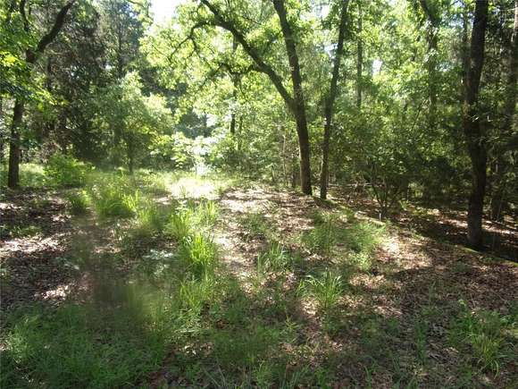 0.45 Acres of Residential Land for Sale in Murchison, Texas