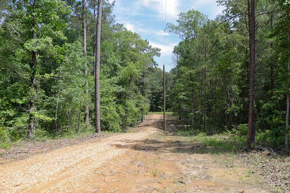 10 Acres of Recreational Land for Sale in Grayson, Louisiana