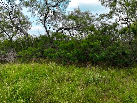 40 Acres of Recreational Land for Sale in D'Hanis, Texas