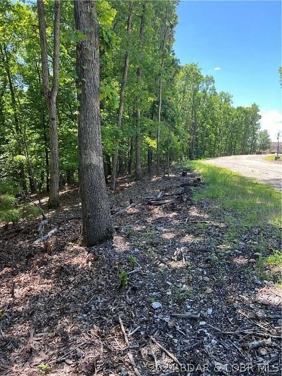 0.32 Acres of Residential Land for Sale in Village of Four Seasons, Missouri