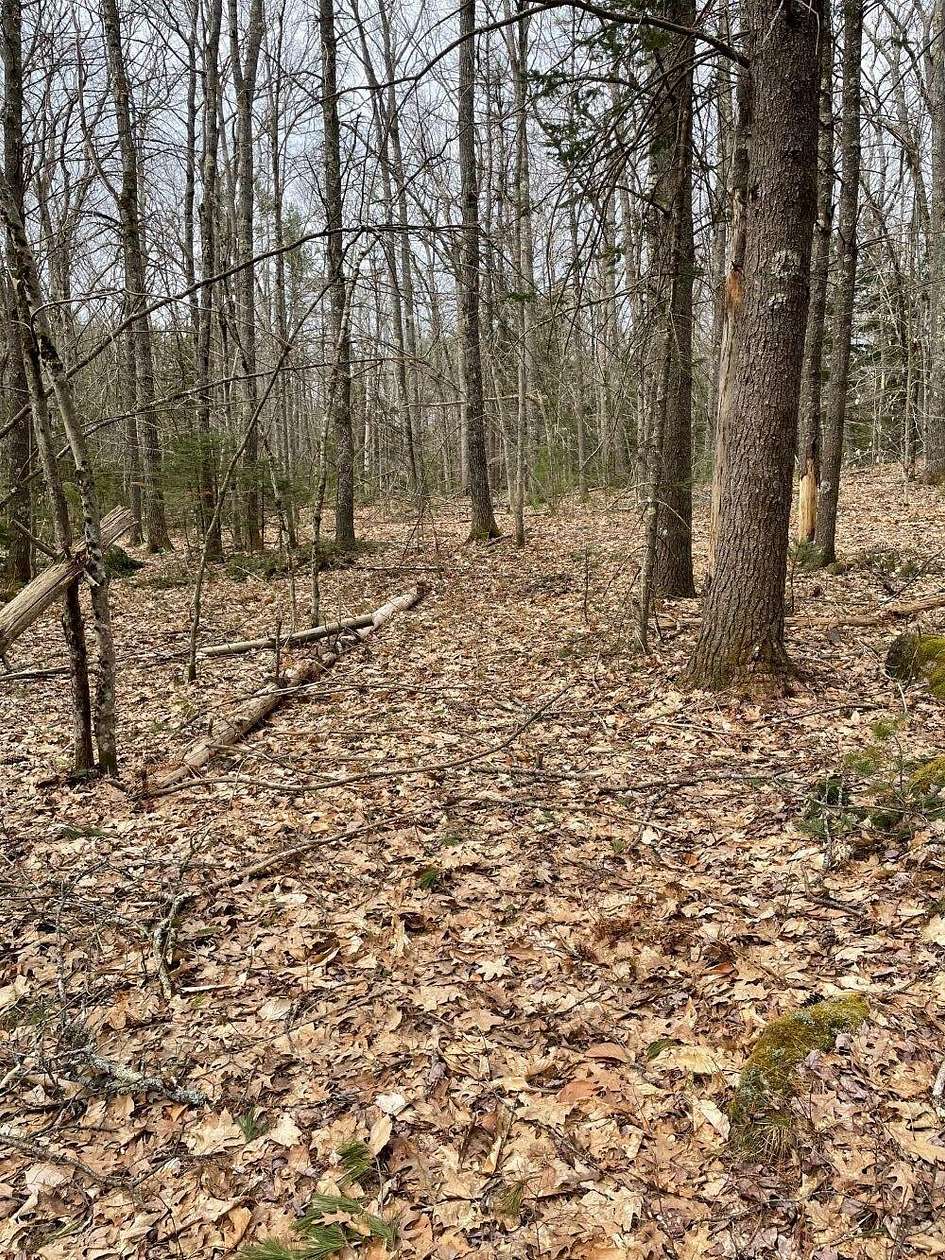22 Acres of Recreational Land for Sale in Shapleigh, Maine