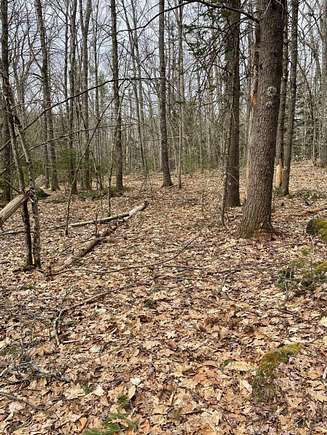 22 Acres of Land for Sale in Shapleigh, Maine