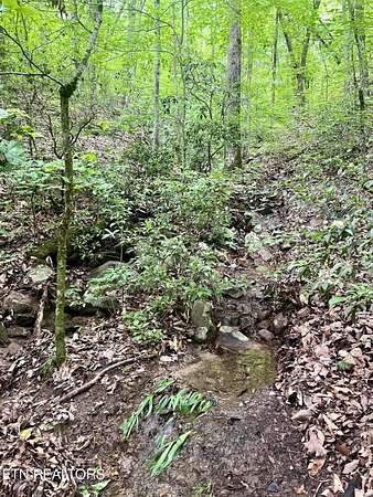 0.5 Acres of Land for Sale in Tallassee, Tennessee