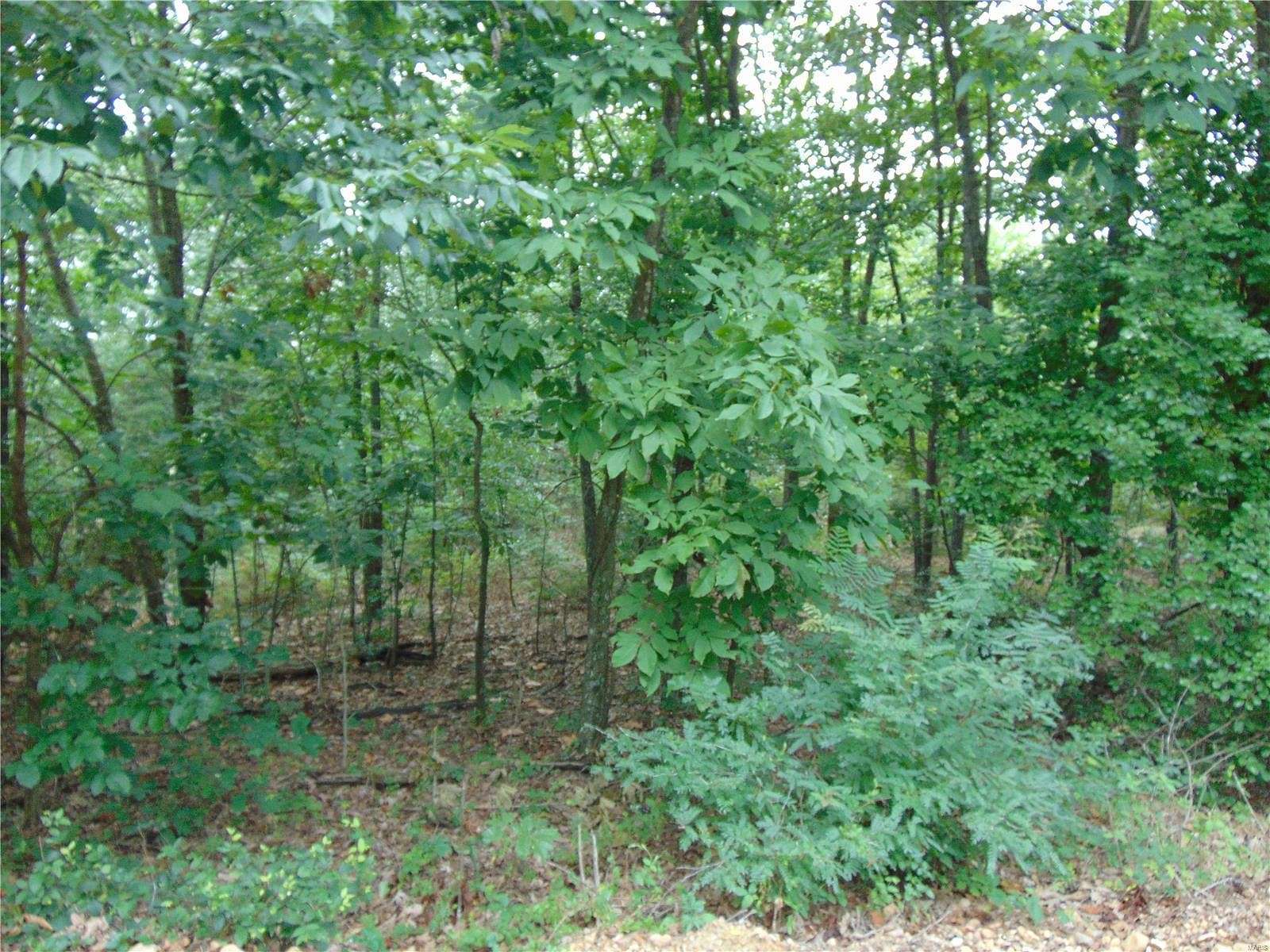 83 Acres of Land for Sale in Doniphan, Missouri