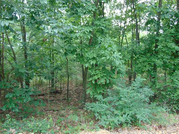 83 Acres of Land for Sale in Doniphan, Missouri