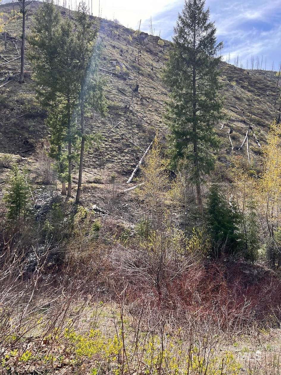 20 Acres of Recreational Land for Sale in Atlanta, Idaho