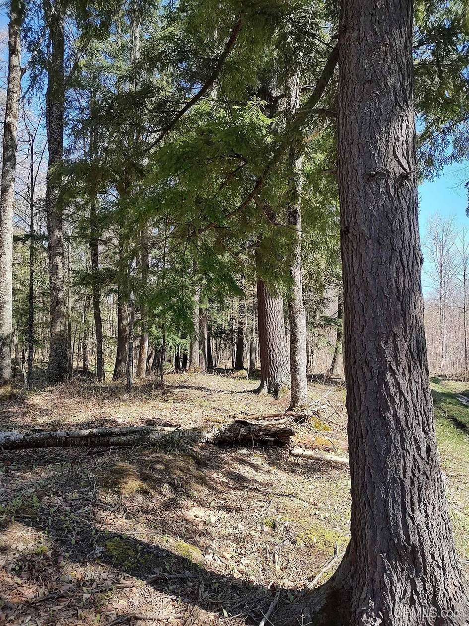 86.3 Acres of Recreational Land for Sale in Greenland, Michigan