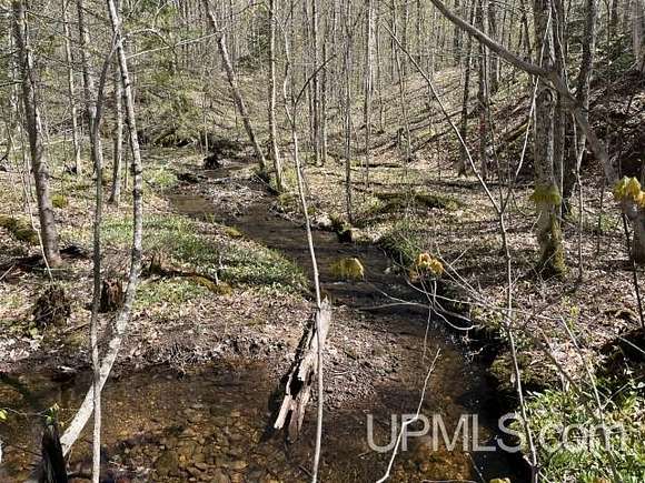 80 Acres of Recreational Land for Sale in Skandia, Michigan
