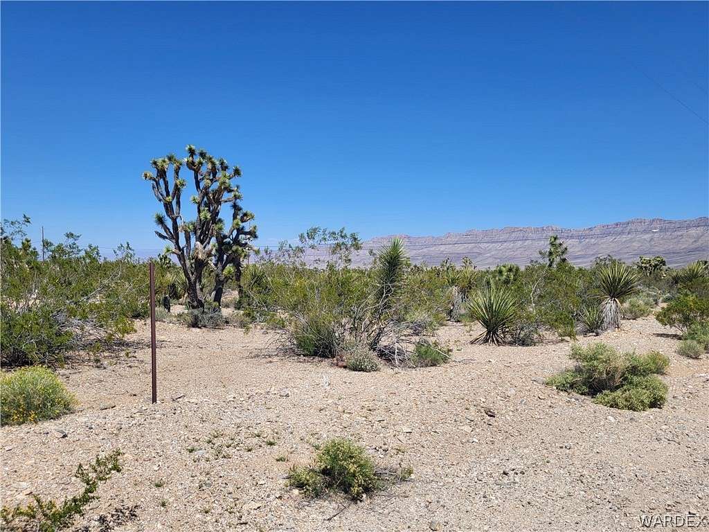 1 Acre of Residential Land for Sale in Meadview, Arizona