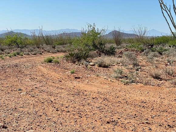 38.9 Acres of Recreational Land for Sale in Douglas, Arizona