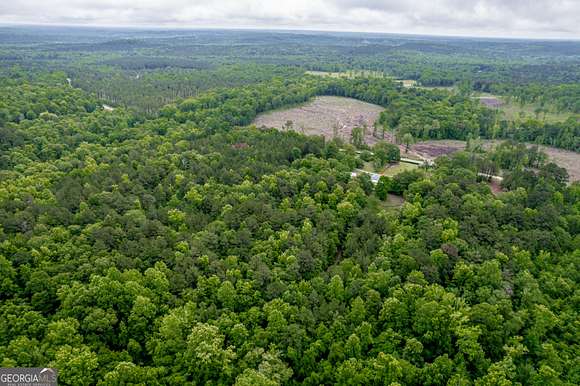18.6 Acres of Recreational Land for Sale in Jeffersonville, Georgia
