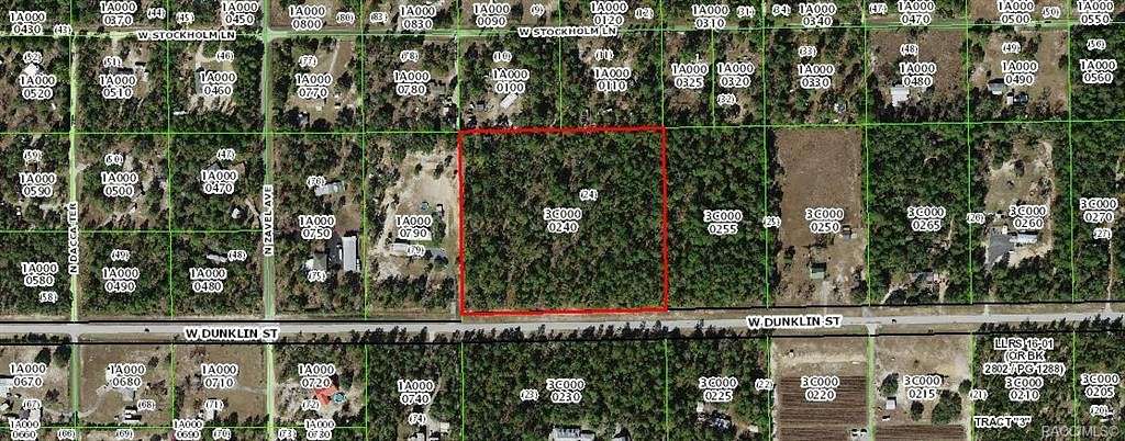 10 Acres of Agricultural Land for Sale in Dunnellon, Florida