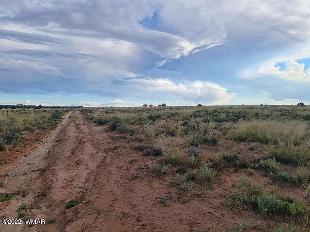 10.06 Acres of Land for Sale in Snowflake, Arizona