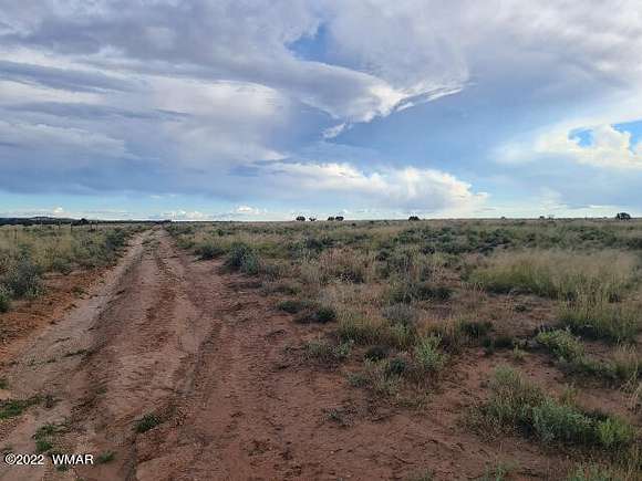 10.1 Acres of Land for Sale in Snowflake, Arizona