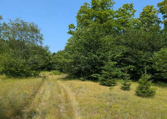 30 Acres of Recreational Land for Sale in Naubinway, Michigan