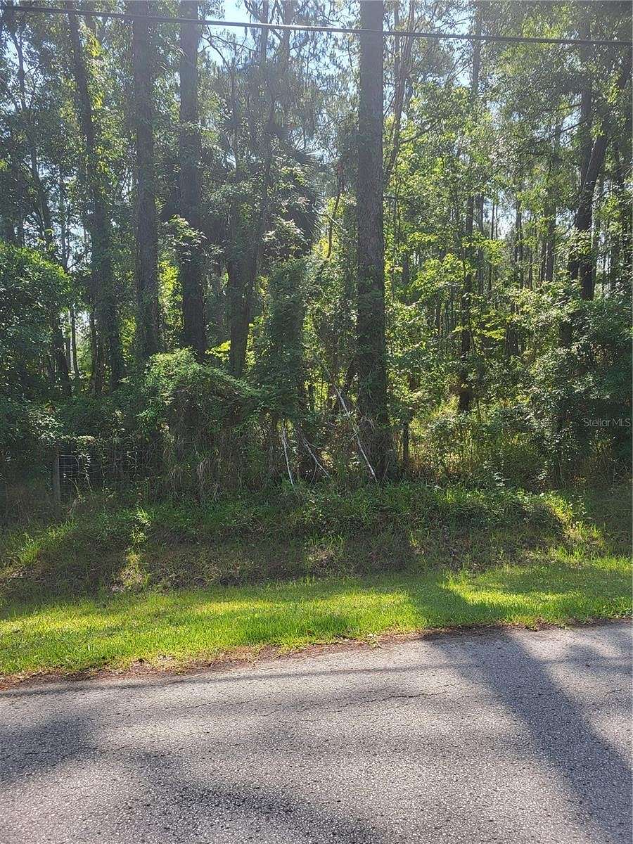 1 Acre of Residential Land for Sale in Wesley Chapel, Florida