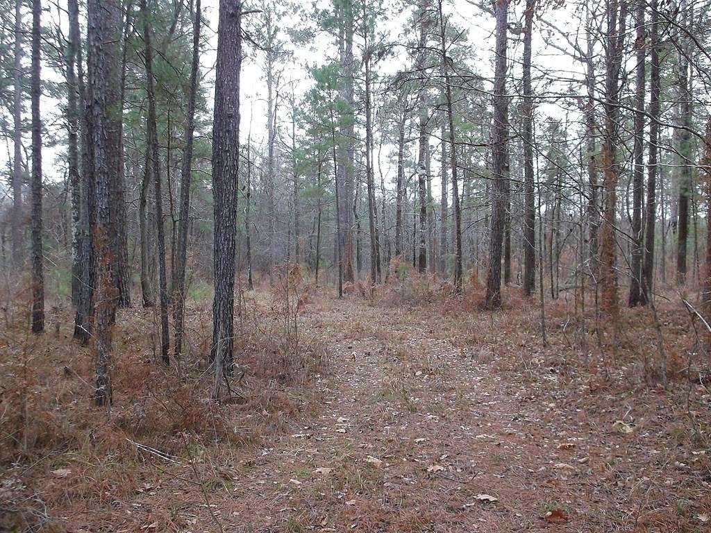 8 Acres of Land for Sale in Meadville, Mississippi