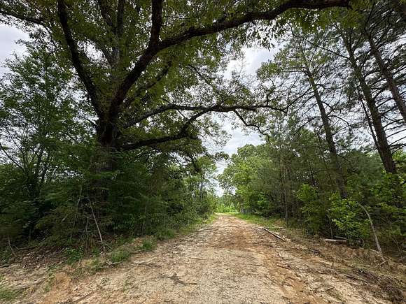 145.4 Acres of Recreational Land for Sale in Raymond, Mississippi