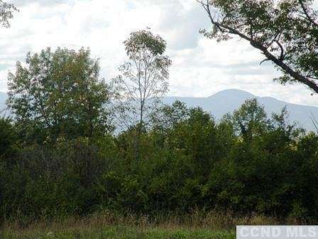 27 Acres of Agricultural Land for Sale in Livingston, New York