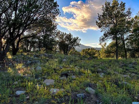 99.5 Acres of Recreational Land for Sale in Silver City, New Mexico