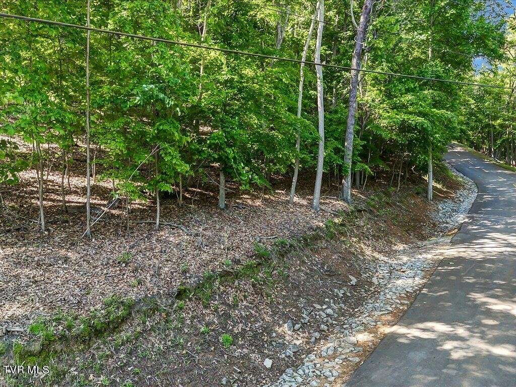 0.69 Acres of Residential Land for Sale in Mooresburg, Tennessee