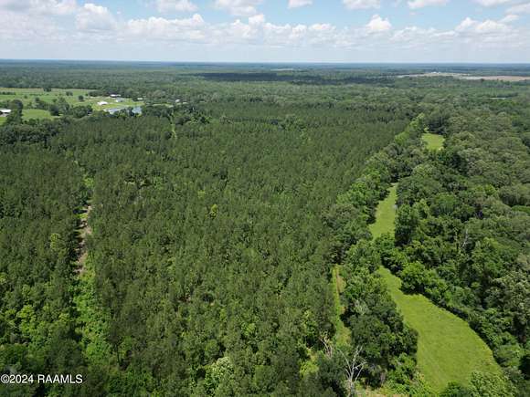 112 Acres of Recreational Land for Sale in Washington, Louisiana