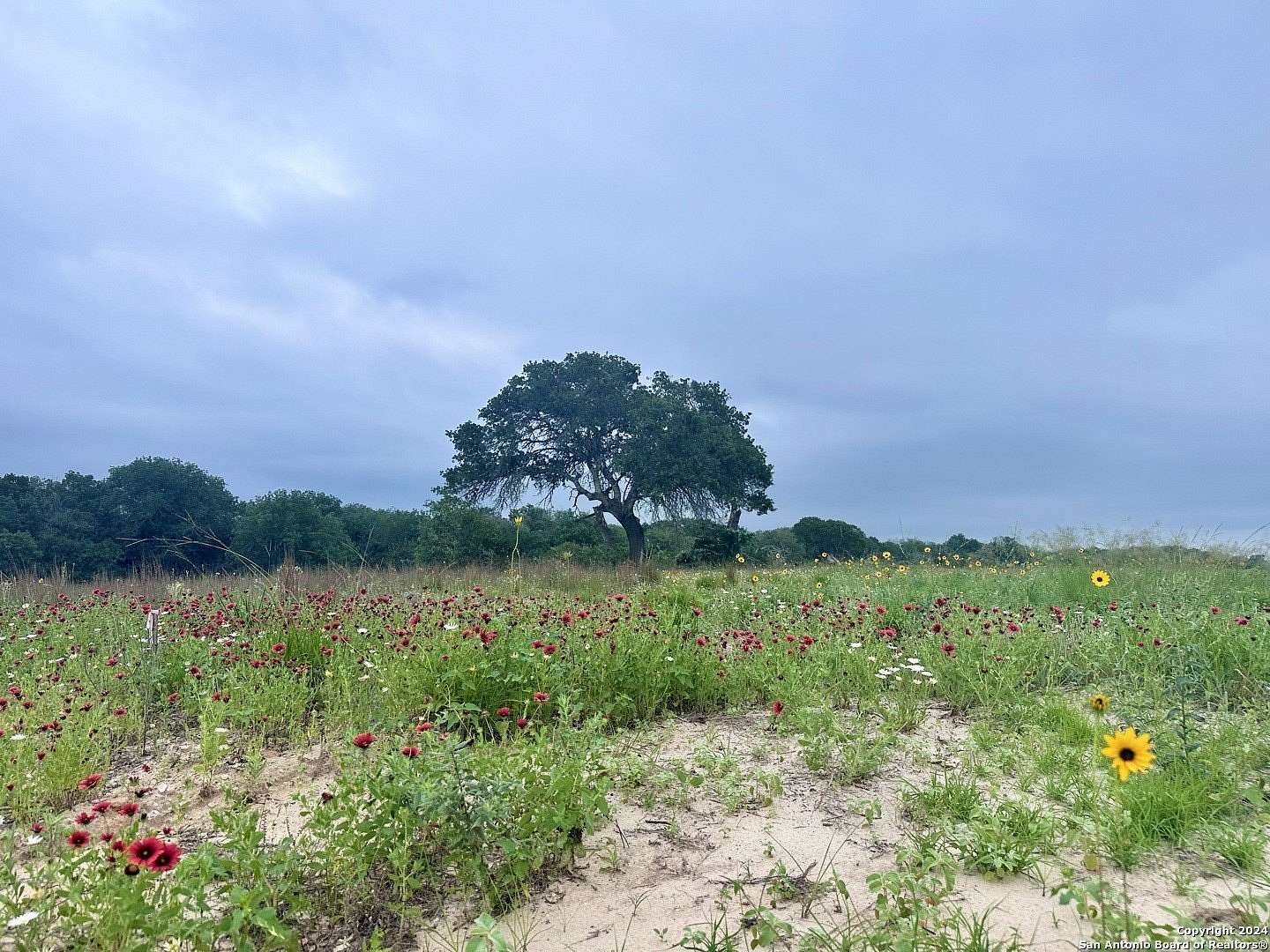 1 Acre of Residential Land for Sale in La Vernia, Texas