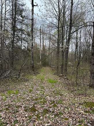 10 Acres of Recreational Land for Sale in Winter, Wisconsin