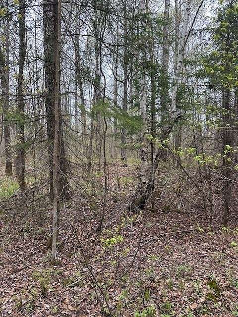 5 Acres of Land for Sale in Winter, Wisconsin