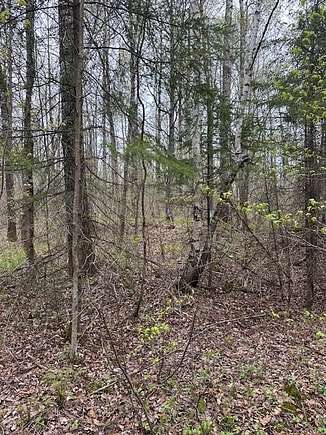 5 Acres of Land for Sale in Winter, Wisconsin