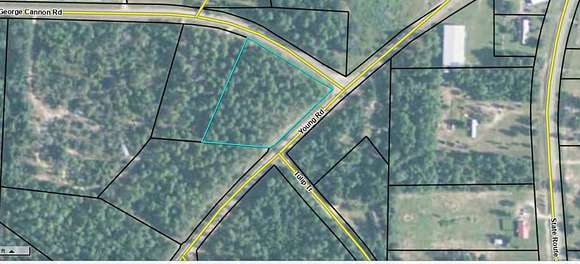 2.6 Acres of Residential Land for Sale in Box Springs, Georgia
