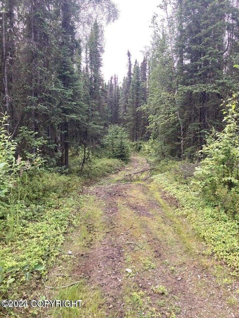 40 Acres of Land for Sale in Wasilla, Alaska